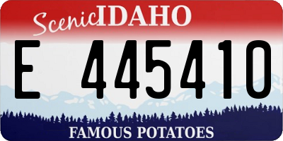 ID license plate E445410