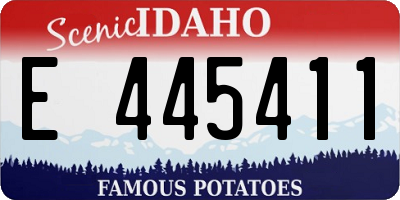 ID license plate E445411