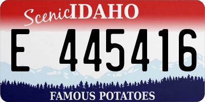 ID license plate E445416