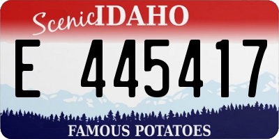 ID license plate E445417