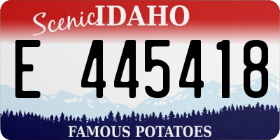 ID license plate E445418