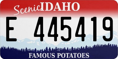 ID license plate E445419
