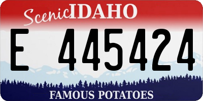 ID license plate E445424
