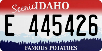 ID license plate E445426