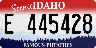 ID license plate E445428