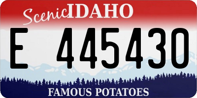ID license plate E445430