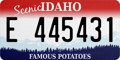 ID license plate E445431