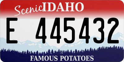 ID license plate E445432