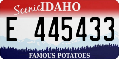 ID license plate E445433