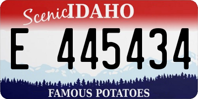 ID license plate E445434