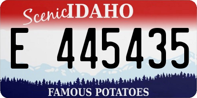 ID license plate E445435
