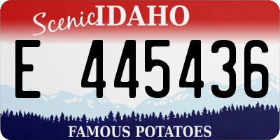 ID license plate E445436