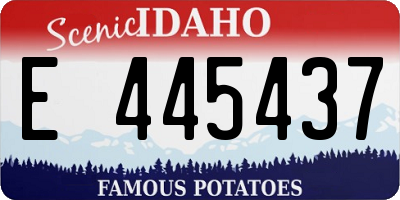 ID license plate E445437