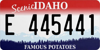 ID license plate E445441