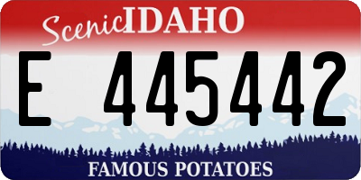 ID license plate E445442