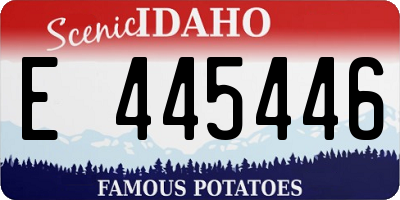 ID license plate E445446