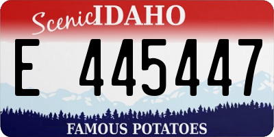 ID license plate E445447