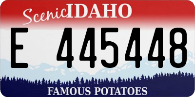ID license plate E445448