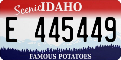 ID license plate E445449