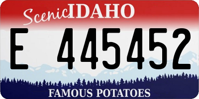 ID license plate E445452
