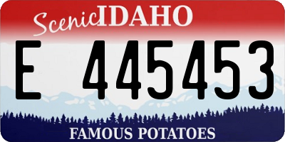 ID license plate E445453