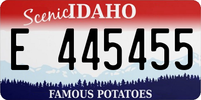 ID license plate E445455