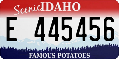 ID license plate E445456