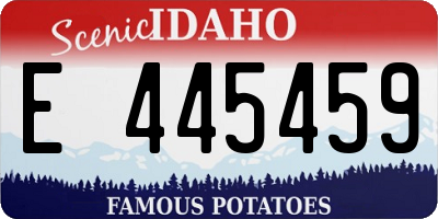 ID license plate E445459