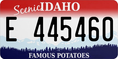 ID license plate E445460