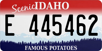 ID license plate E445462