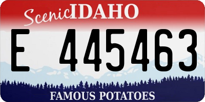 ID license plate E445463