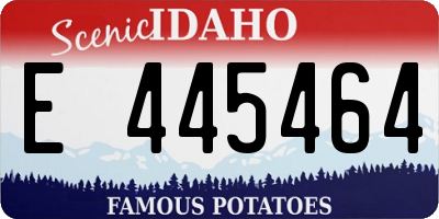 ID license plate E445464