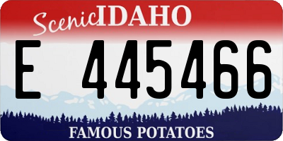 ID license plate E445466