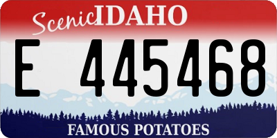 ID license plate E445468