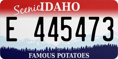 ID license plate E445473