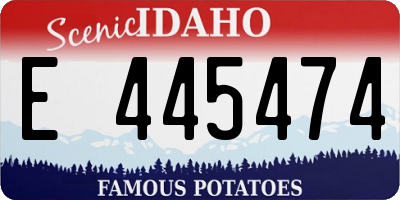 ID license plate E445474