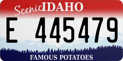 ID license plate E445479