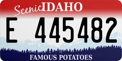 ID license plate E445482