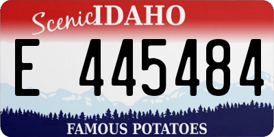 ID license plate E445484