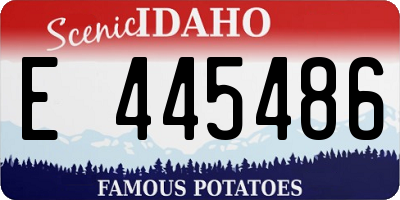 ID license plate E445486