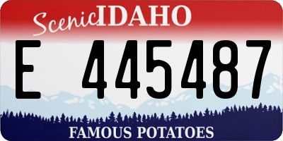 ID license plate E445487