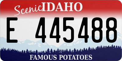 ID license plate E445488
