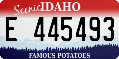 ID license plate E445493