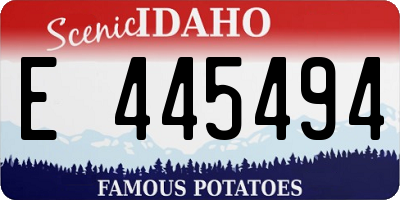ID license plate E445494