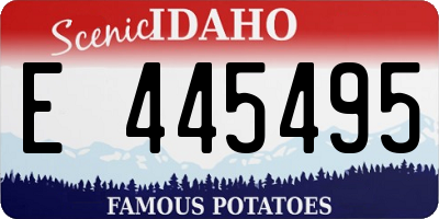 ID license plate E445495