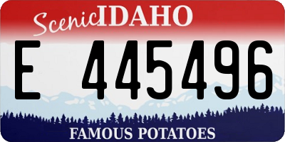 ID license plate E445496