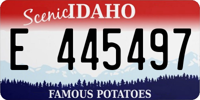 ID license plate E445497