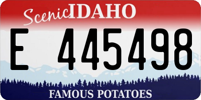 ID license plate E445498