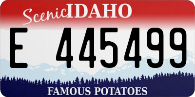 ID license plate E445499
