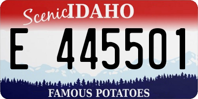 ID license plate E445501